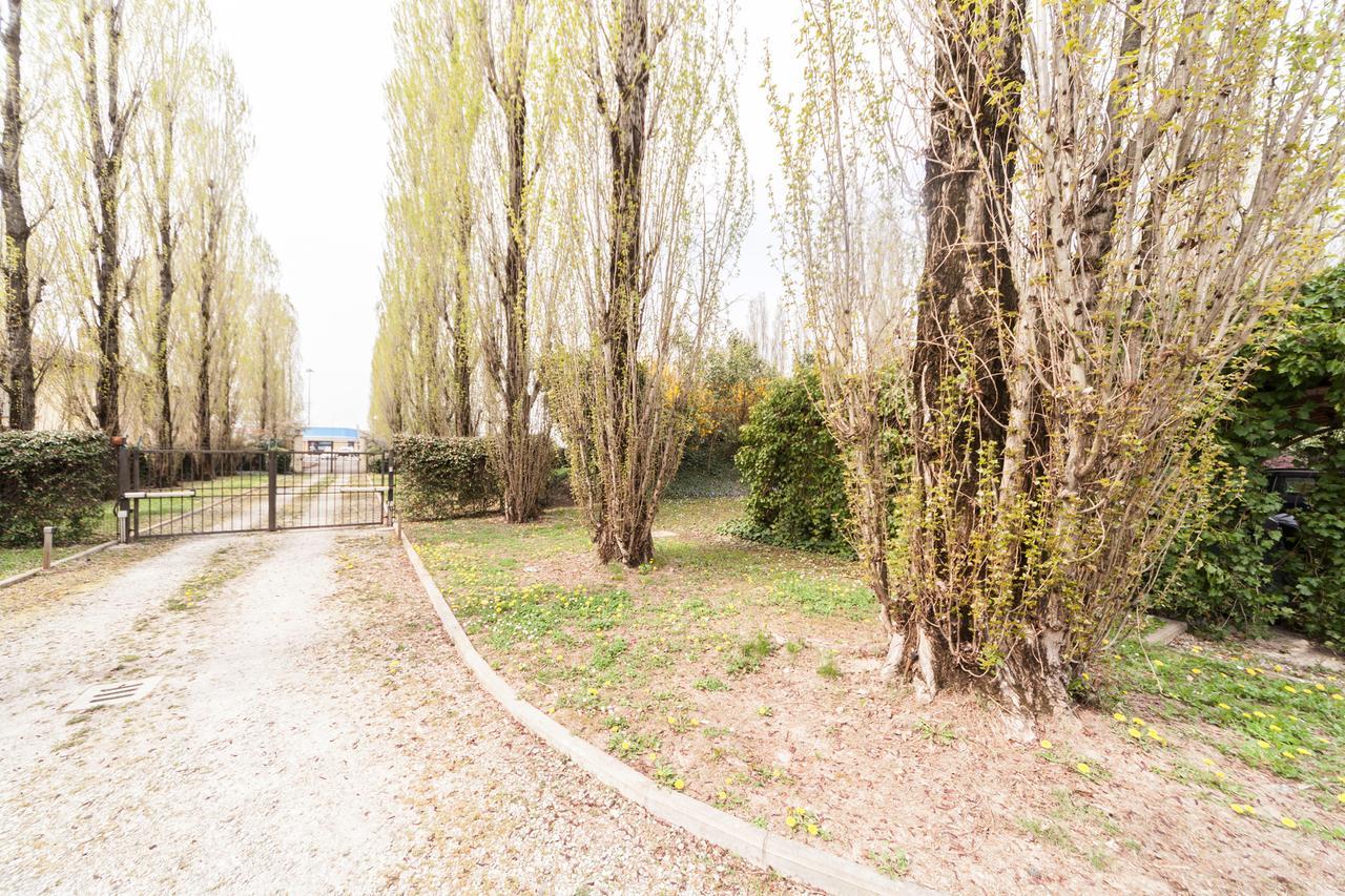 Il Borgo Di Minerva Hotel Minerbio Bagian luar foto
